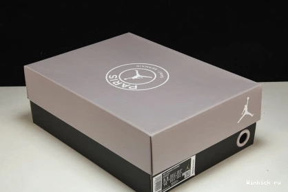 Jordan Low “PSG” Air 5 1202